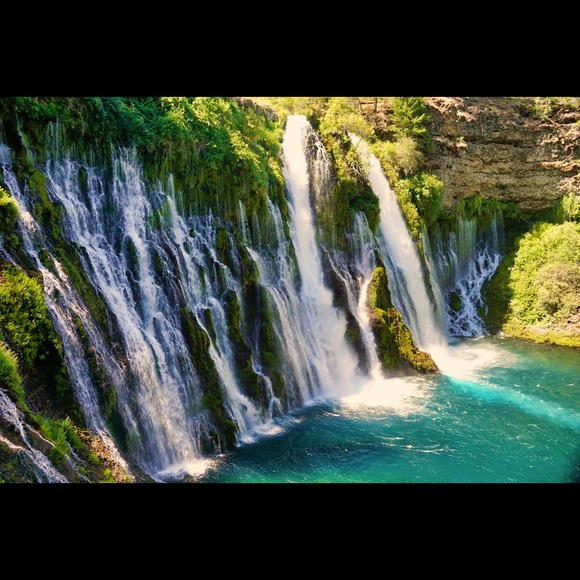 Meet your Posher, Laina - Picture 1 of 1